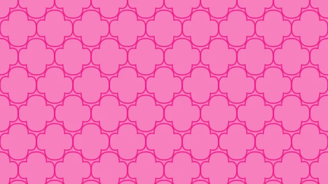 Pink Carnation moroccan background — free HD pink carnation color wallpaper 1920x1080
