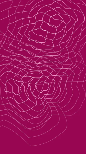 Pink Carnation topographic phone wallpaper — free HD pink carnation mobile wallpaper 1080x1920