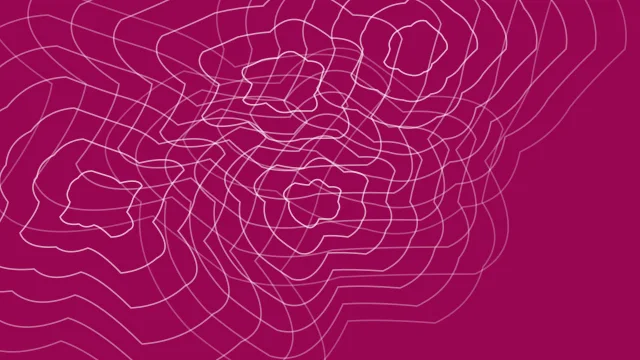 Pink Carnation topographic background — free HD pink carnation color wallpaper 1920x1080