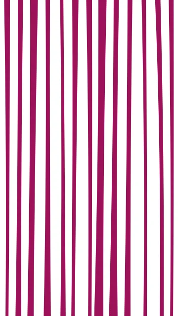 Pink Carnation zebra phone wallpaper — free HD pink carnation mobile wallpaper 1080x1920