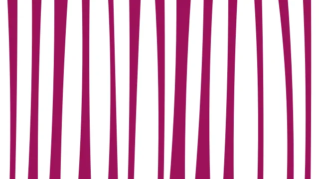 Pink Carnation zebra print background — free HD pink carnation color wallpaper 1920x1080