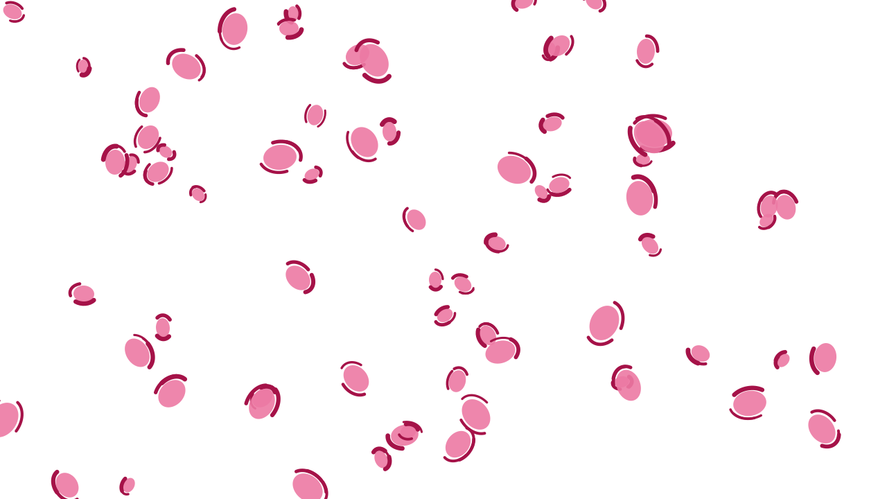 Pink Mist leopard print background — free HD pink mist color wallpaper 1920x1080