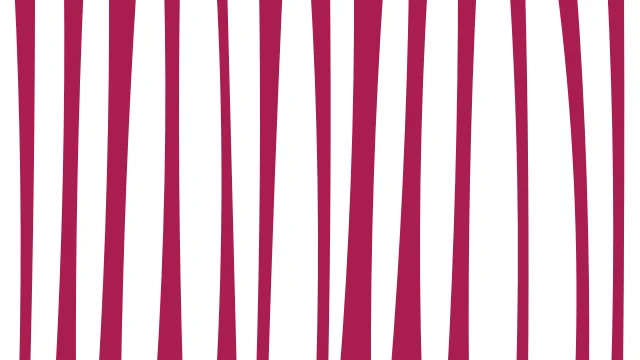 Pink Mist zebra print background — free HD pink mist color wallpaper 1920x1080