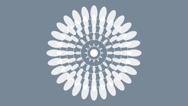 Platinum mandala background — free HD platinum color wallpaper 1920x1080
