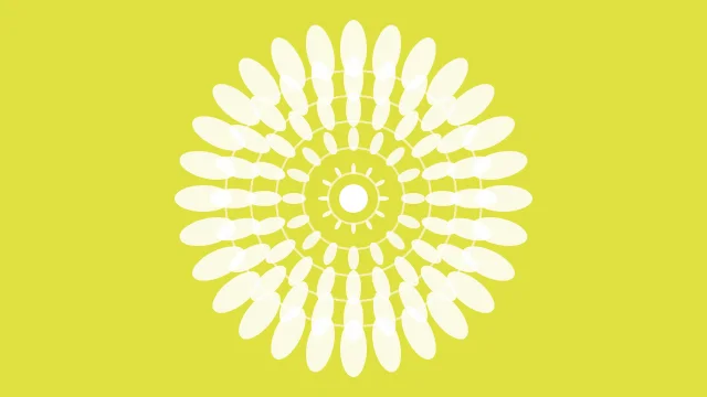 Porcelain mandala background — free HD porcelain color wallpaper 1920x1080