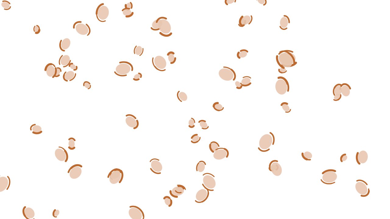 Powder Petal leopard print background — free HD powder petal color wallpaper 1920x1080