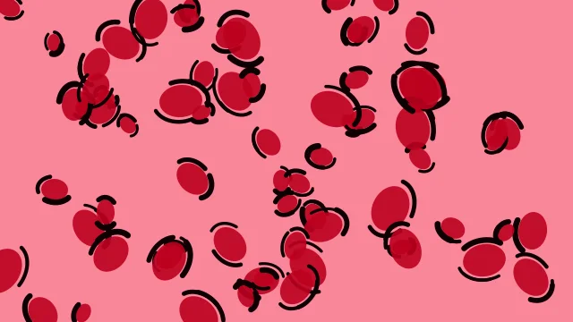 Primary Scarlet leopard desktop wallpaper — free 4K primary scarlet wallpaper 3840x2160