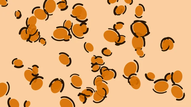 Princeton Orange leopard desktop wallpaper — free 4K princeton orange wallpaper 3840x2160