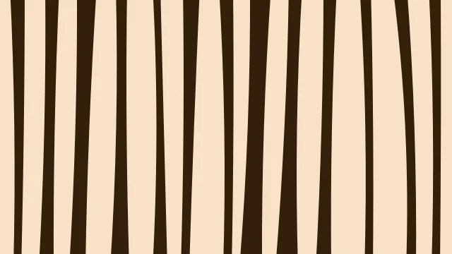 Princeton Orange zebra desktop wallpaper — free 4K princeton orange wallpaper 3840x2160