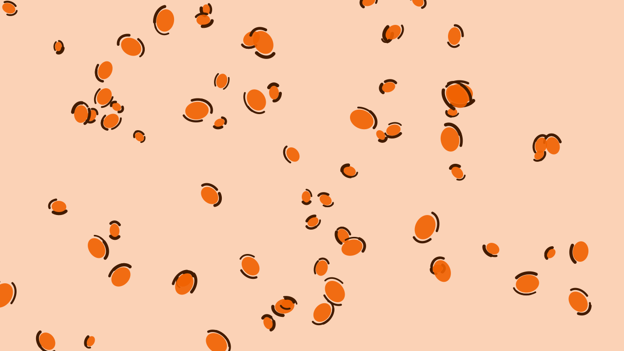 Pumpkin Spice leopard print background — free HD pumpkin spice color wallpaper 1920x1080