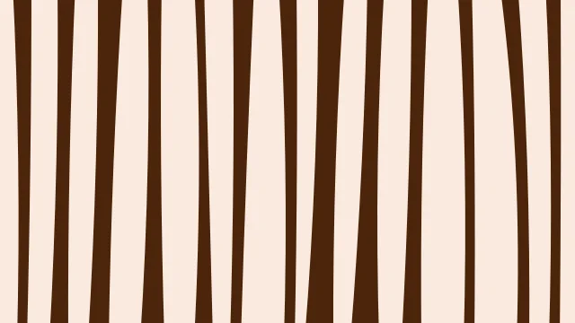Pumpkin Spice zebra print background — free HD pumpkin spice color wallpaper 1920x1080
