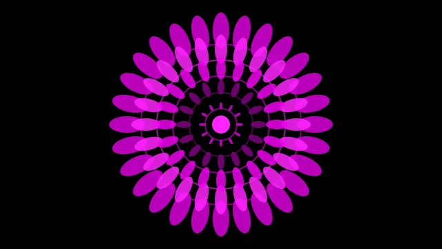 Purple mandala background — free HD purple color wallpaper 1920x1080