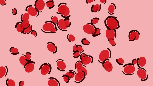 Racing Red leopard print background — free HD racing red color wallpaper 1920x1080