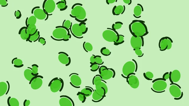 Radioactive Grass leopard print background — free HD radioactive grass color wallpaper 1920x1080