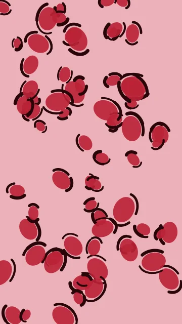 Raspberry leopard phone wallpaper — free HD raspberry mobile wallpaper 1080x1920
