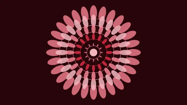 Raspberry mandala background — free HD raspberry color wallpaper 1920x1080