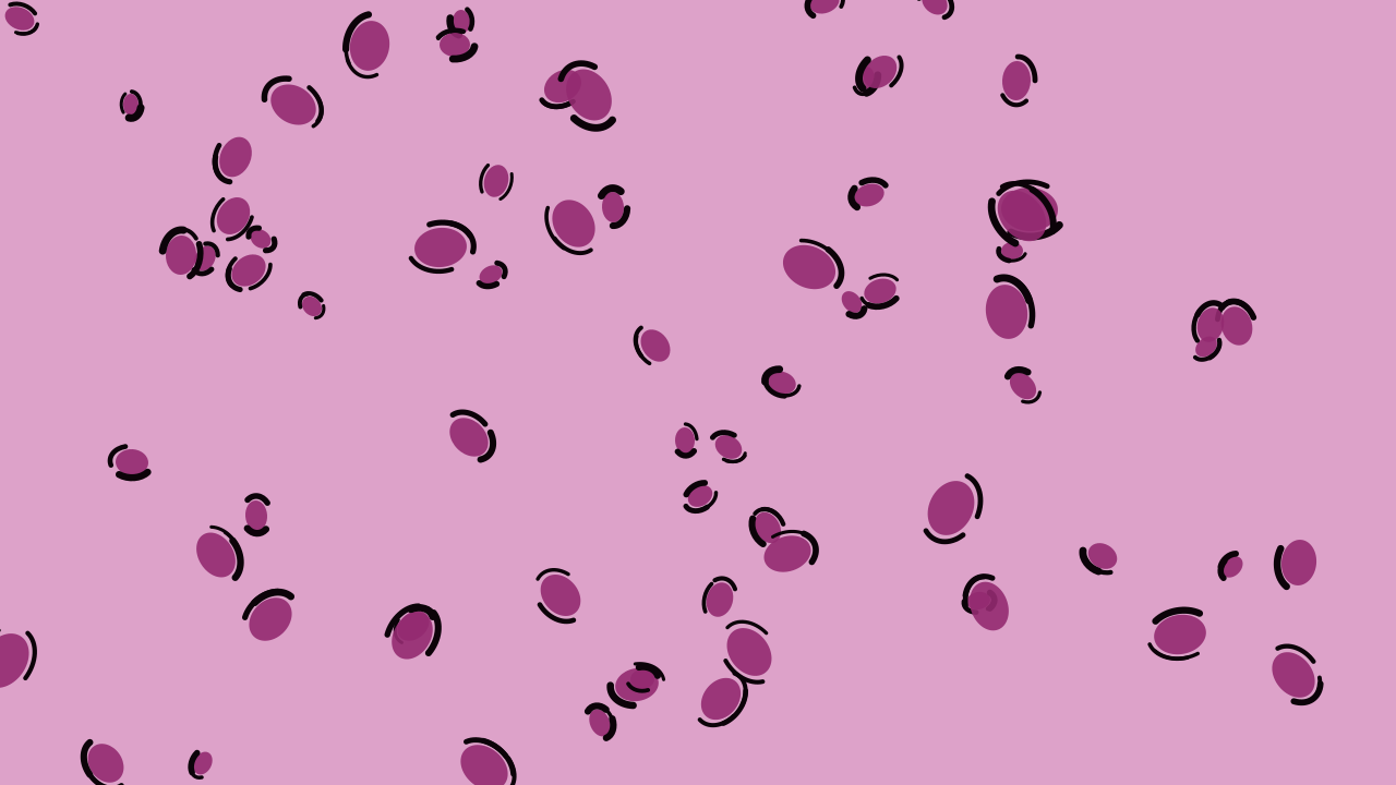 Raspberry Plum leopard print background — free HD raspberry plum color wallpaper 1920x1080
