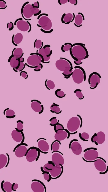 Raspberry Plum leopard phone wallpaper — free HD raspberry plum mobile wallpaper 1080x1920