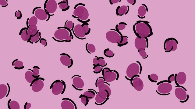 Raspberry Plum leopard desktop wallpaper — free 4K raspberry plum wallpaper 3840x2160