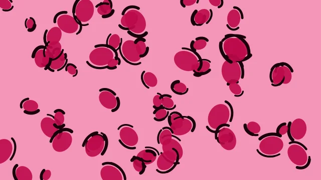 Raspberry Red leopard desktop wallpaper — free 4K raspberry red wallpaper 3840x2160