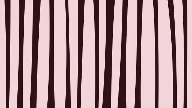 Raspberry zebra print background — free HD raspberry color wallpaper 1920x1080
