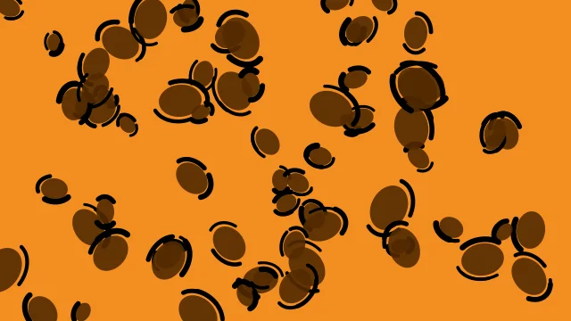 Raw Umber leopard print background — free HD raw umber color wallpaper 1920x1080