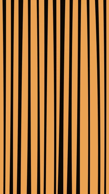 Raw Umber zebra phone wallpaper — free HD raw umber mobile wallpaper 1080x1920