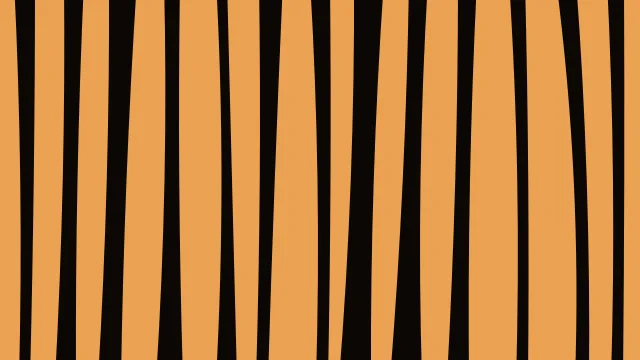 Raw Umber zebra print background — free HD raw umber color wallpaper 1920x1080