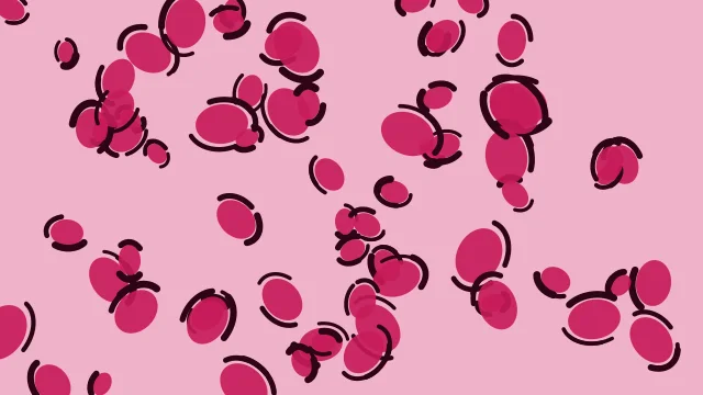 Razzmatazz leopard print background — free HD razzmatazz color wallpaper 1920x1080