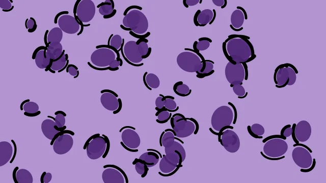 Rebecca Purple leopard desktop wallpaper — free 4K rebecca purple wallpaper 3840x2160