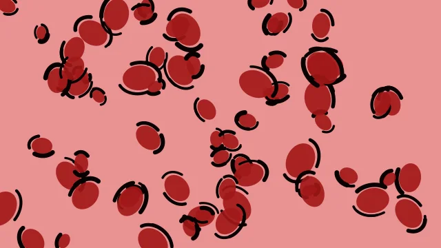 Red 500 leopard print background — free HD red 500 color wallpaper 1920x1080