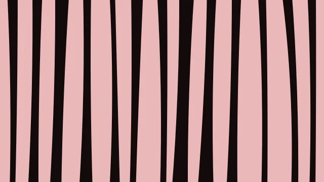 Red 500 zebra print background — free HD red 500 color wallpaper 1920x1080