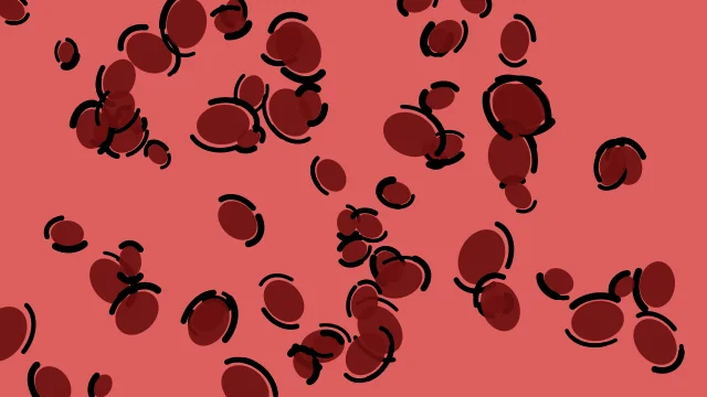 Red 600 leopard print background — free HD red 600 color wallpaper 1920x1080