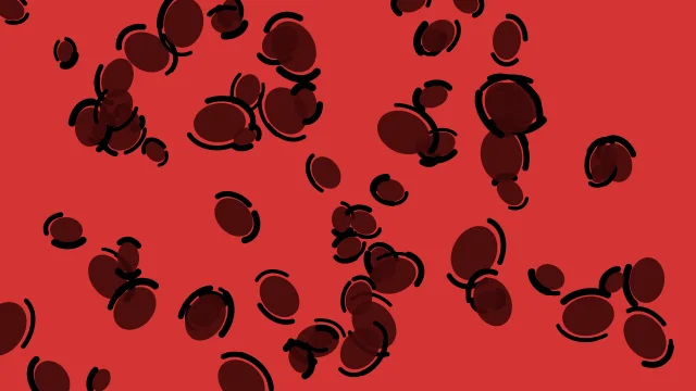 Red 700 leopard desktop wallpaper — free 4K red 700 wallpaper 3840x2160