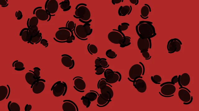 Red 800 leopard desktop wallpaper — free 4K red 800 wallpaper 3840x2160