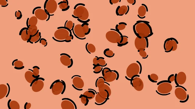 Red Ochre leopard print background — free HD red ochre color wallpaper 1920x1080