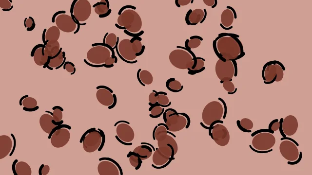 Reddish Brown leopard print background — free HD reddish brown color wallpaper 1920x1080