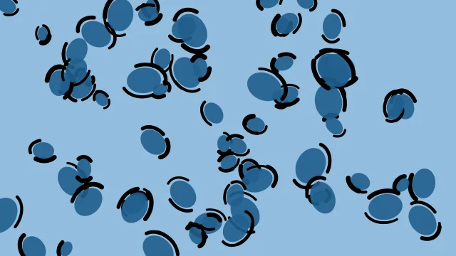 Rich Cerulean leopard desktop wallpaper — free 4K rich cerulean wallpaper 3840x2160