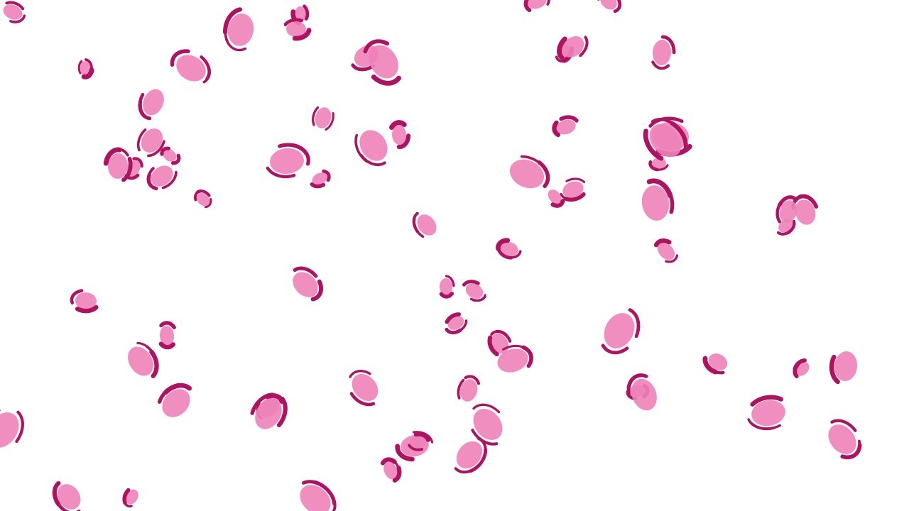 Rose 200 leopard print background — free HD rose 200 color wallpaper 1920x1080