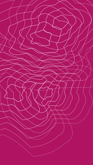 Rose 200 topographic phone wallpaper — free HD rose 200 mobile wallpaper 1080x1920