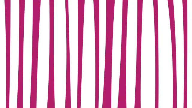 Rose 200 zebra desktop wallpaper — free 4K rose 200 wallpaper 3840x2160