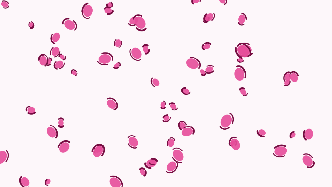 Rose 300 leopard print background — free HD rose 300 color wallpaper 1920x1080