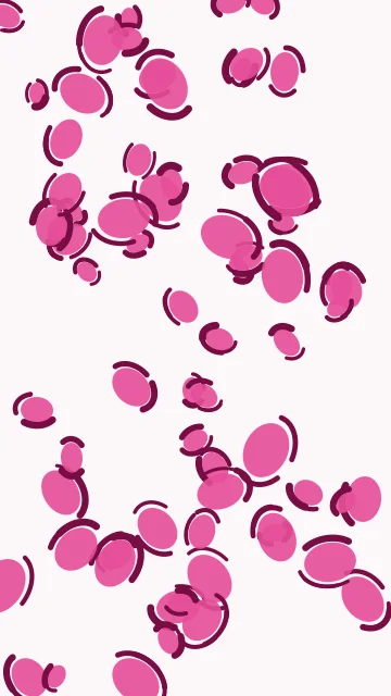Rose 300 leopard phone wallpaper — free HD rose 300 mobile wallpaper 1080x1920