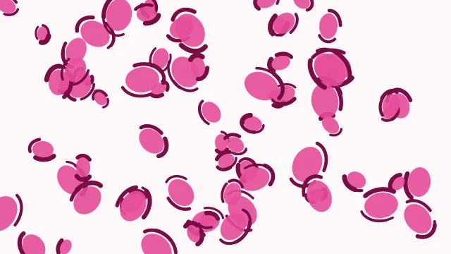 Rose 300 leopard desktop wallpaper — free 4K rose 300 wallpaper 3840x2160