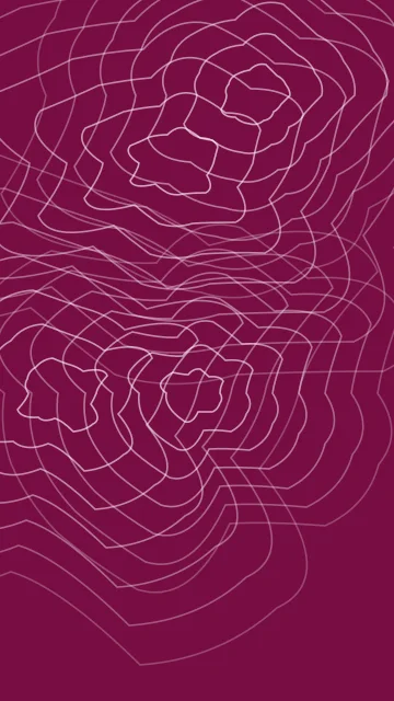 Rose 300 topographic phone wallpaper — free HD rose 300 mobile wallpaper 1080x1920