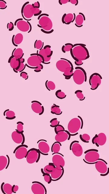 Rose 400 leopard phone wallpaper — free HD rose 400 mobile wallpaper 1080x1920