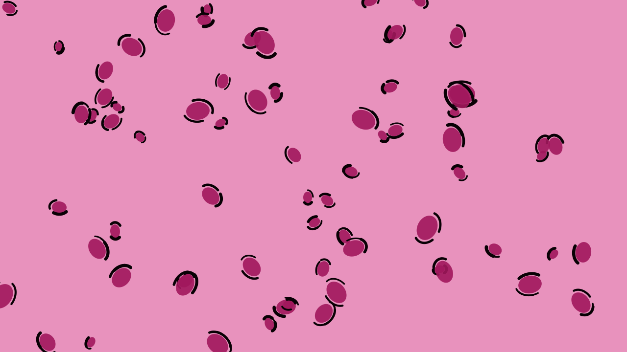 Rose 500 leopard print background — free HD rose 500 color wallpaper 1920x1080