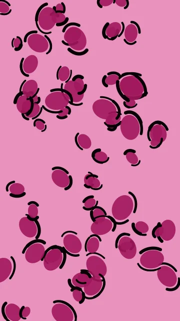 Rose 500 leopard phone wallpaper — free HD rose 500 mobile wallpaper 1080x1920