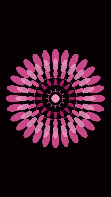 Rose 500 mandala phone wallpaper — free HD rose 500 mobile wallpaper 1080x1920