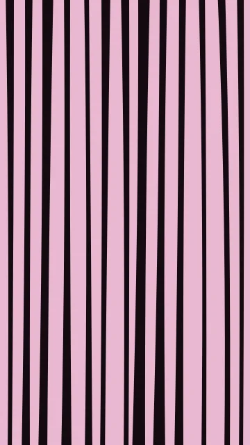 Rose 500 zebra phone wallpaper — free HD rose 500 mobile wallpaper 1080x1920